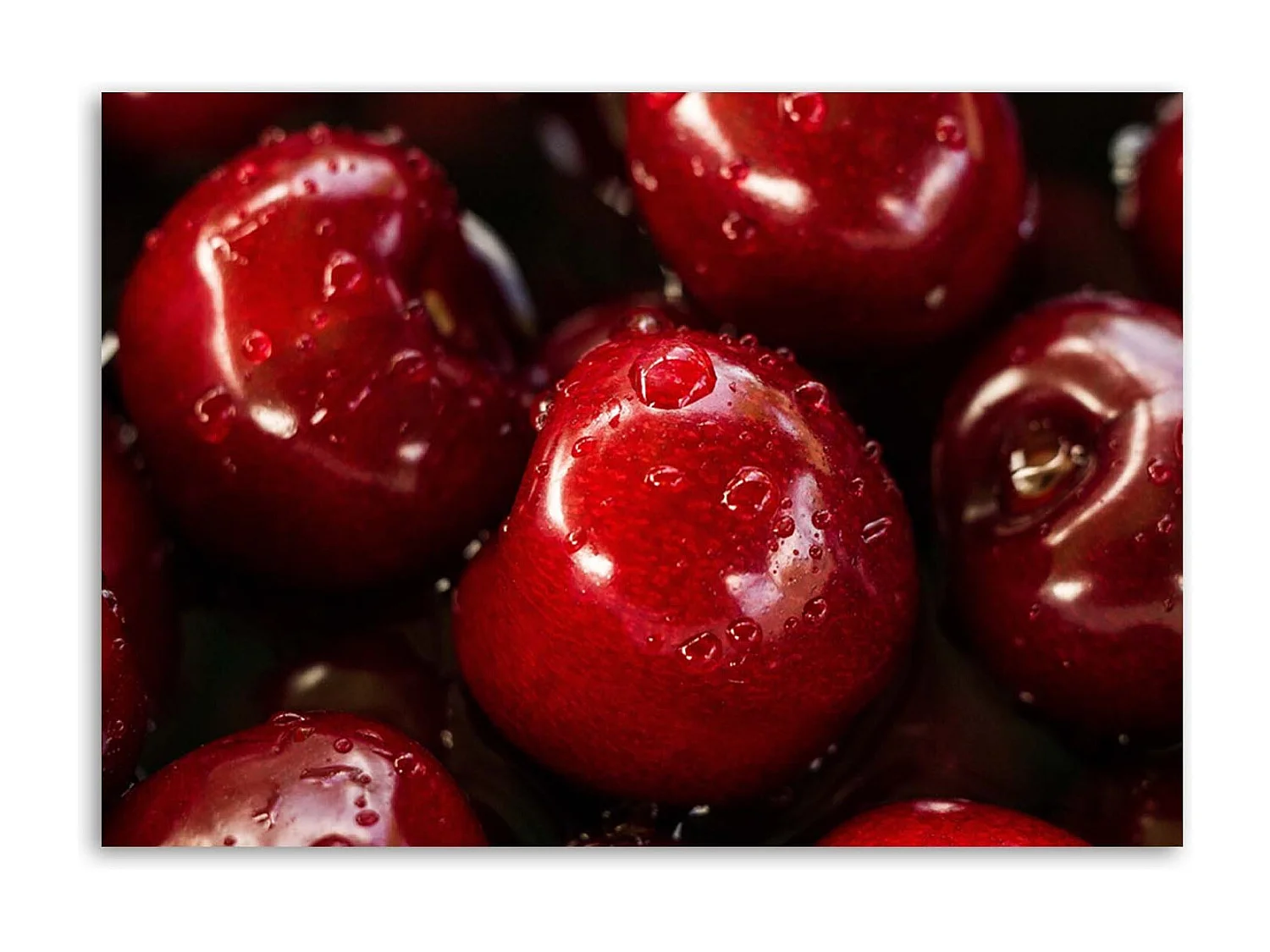 Quadro deco panel, Ciliegie tra le gocce d'acqua - 120x80