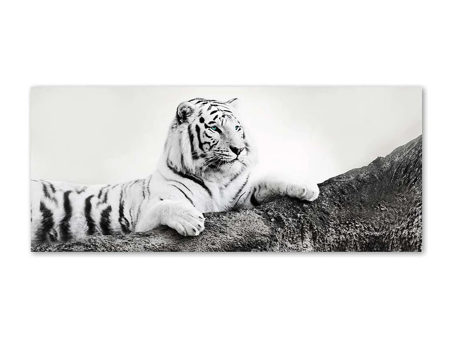 Stampa su tela, Tigre vigile - 90x30