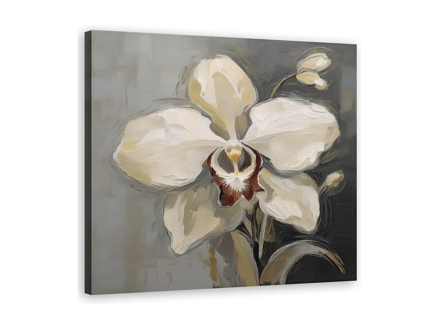 Quadro su tela, Orchidea bianca dipinta - 50x50