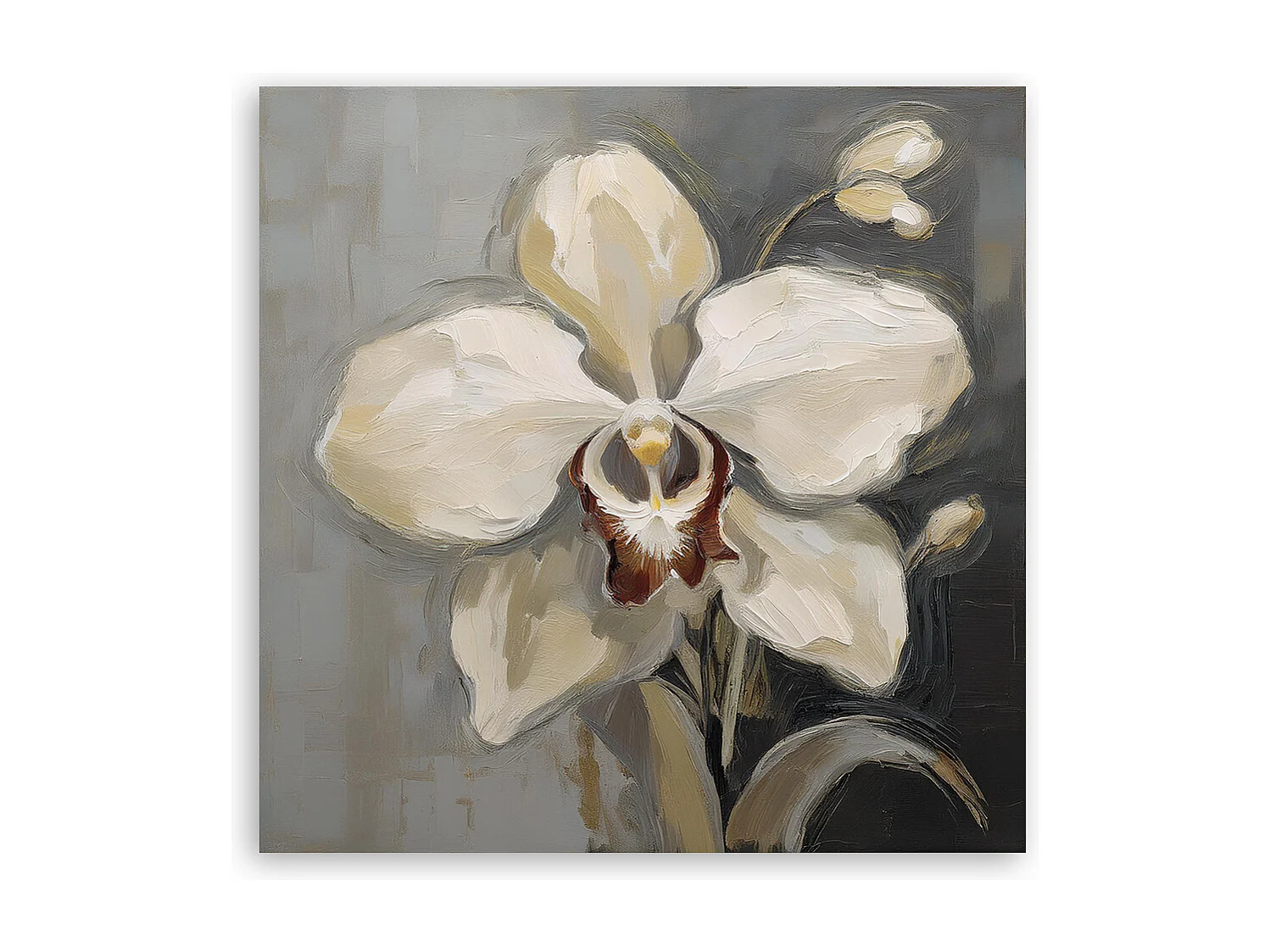 Quadro su tela, Orchidea bianca dipinta - 50x50