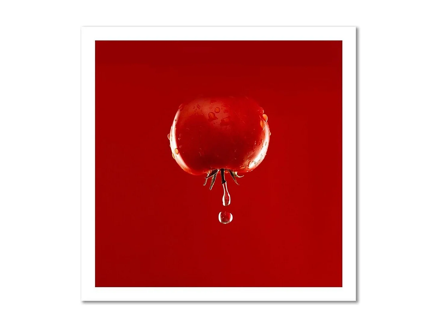 Quadro deco panel, Pomodoro e gocce d'acqua - colore - 40x40