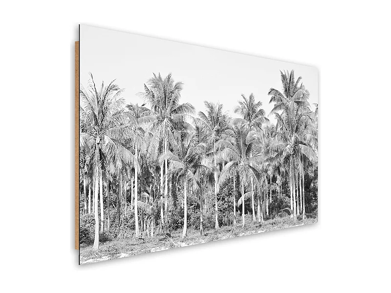 Quadro deco panel, Palme in bianco e nero nella giungla - 90x60