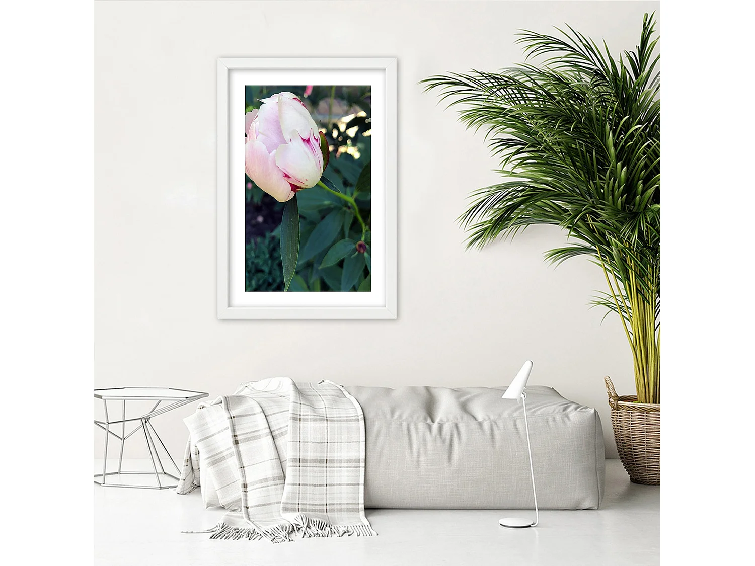 Quadro con cornice, Peonia bianca - 20x30