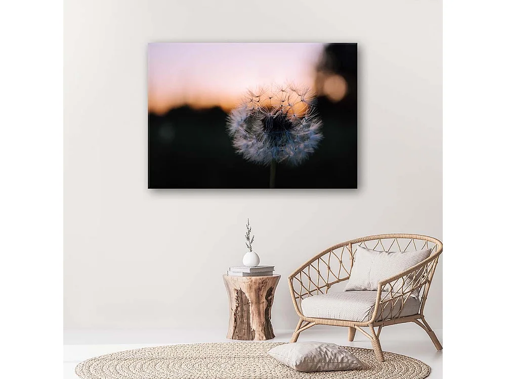 Quadro su tela, Denti di leone al tramonto - 120x80