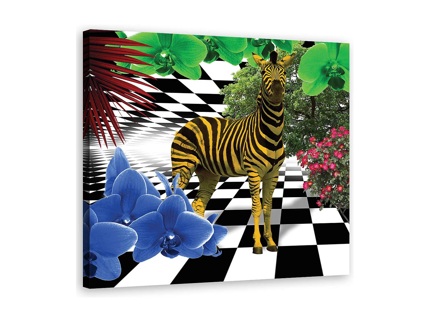 CUSCINO NATURA 40x40 Cm – Morbido E Lavabile, Ideale Per Divano O Letto (Kandy)