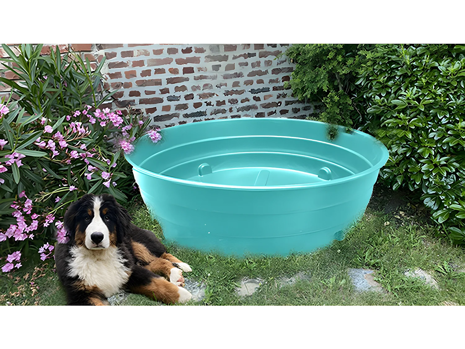 Bassin 1900l Pour Animaux
