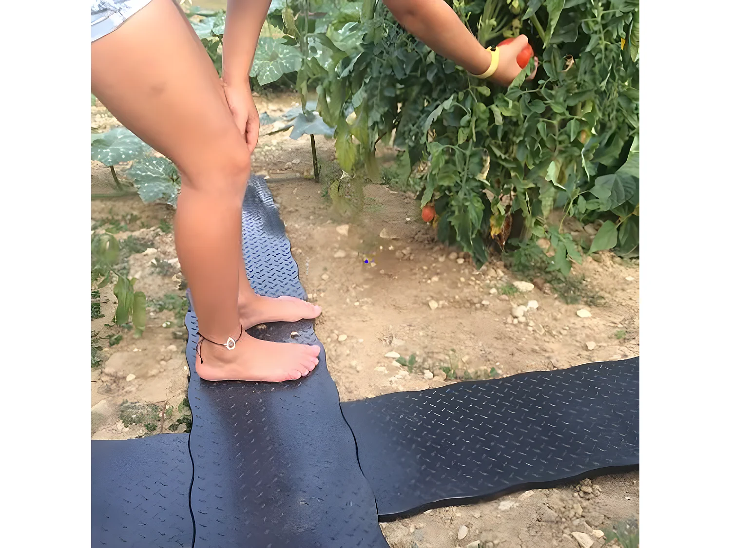 Lot De 4 Dalles De Jardin 80cm