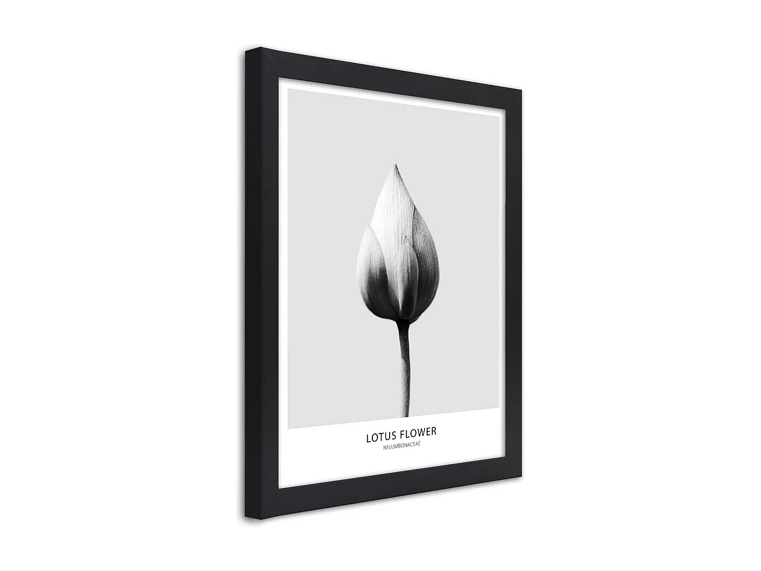 WGV Vaso in vetro, diametro 20,3 cm, altezza 15,2 cm, larghezza aperta 12,1