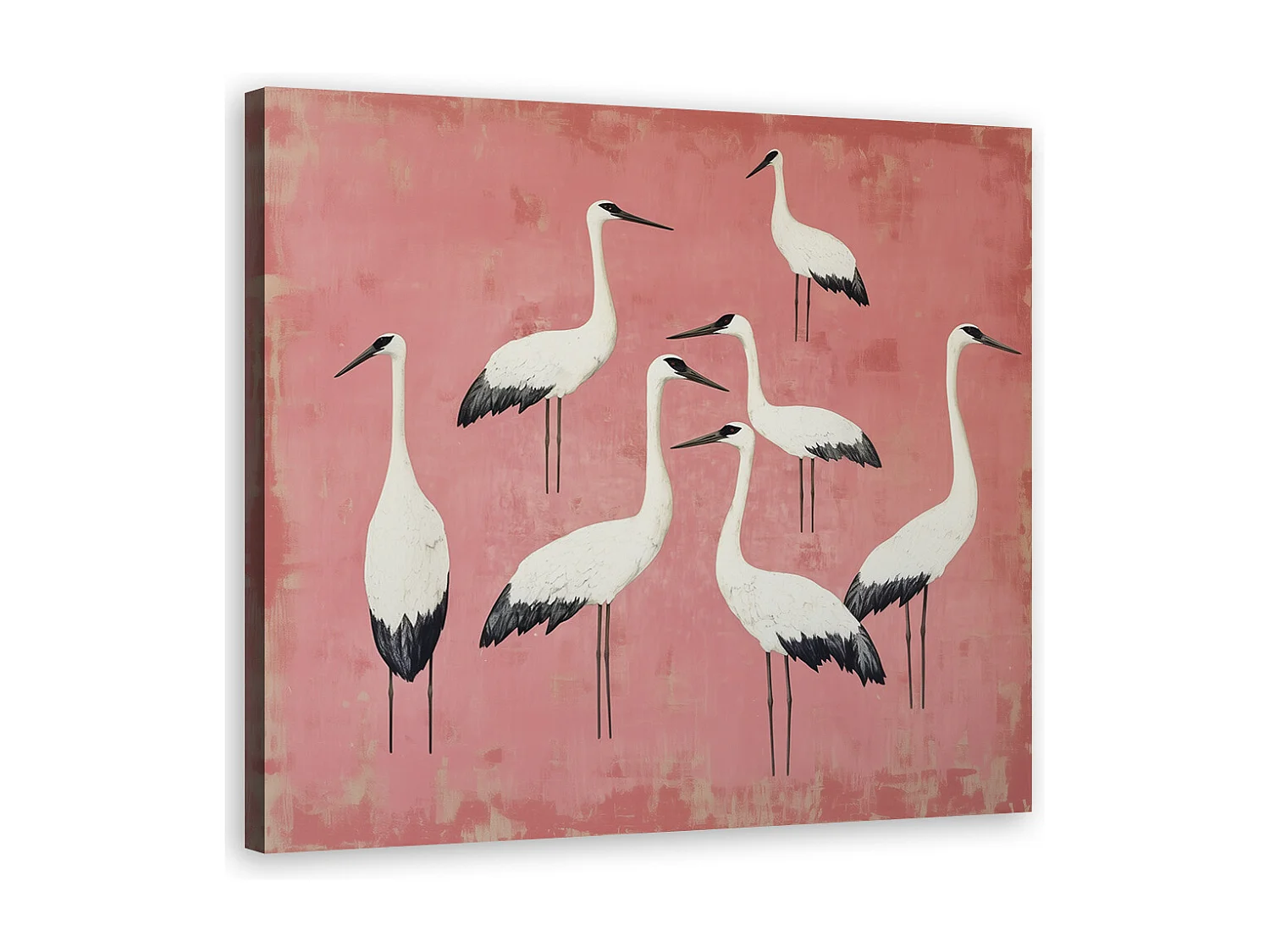 Quadro su tela, Uccelli Gru Rosa - 30x30