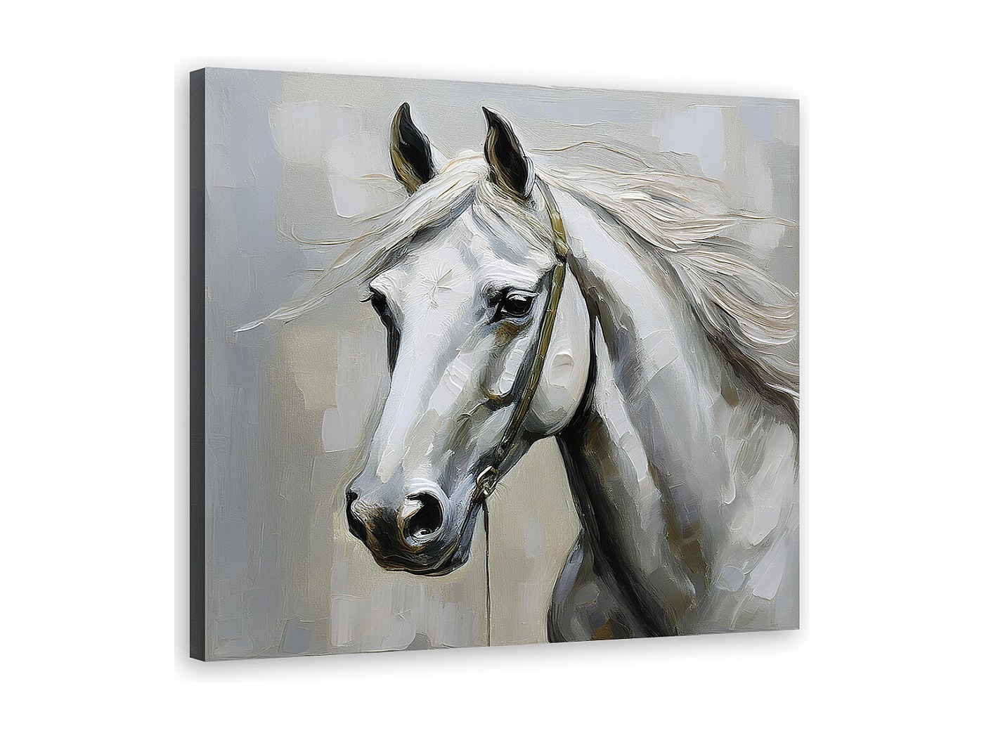 Quadro su tela, Animali cavallo bianco - 60x60