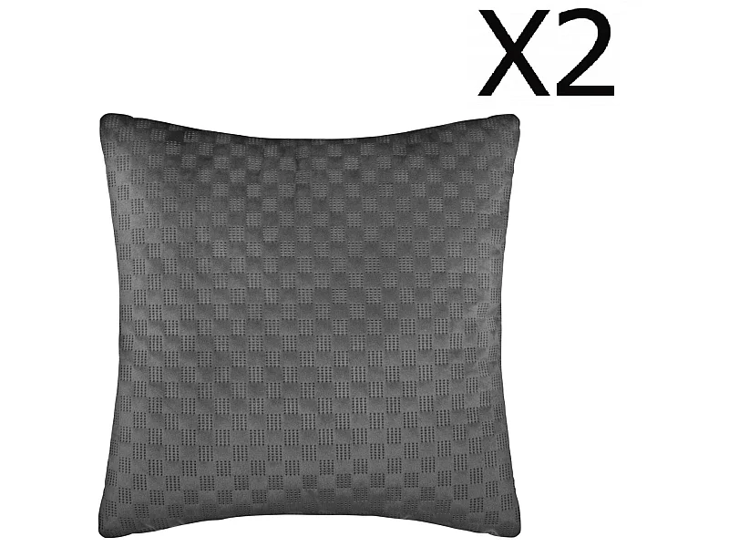 Lot de 2 Coussins gris en velours - 40 x 40 cm