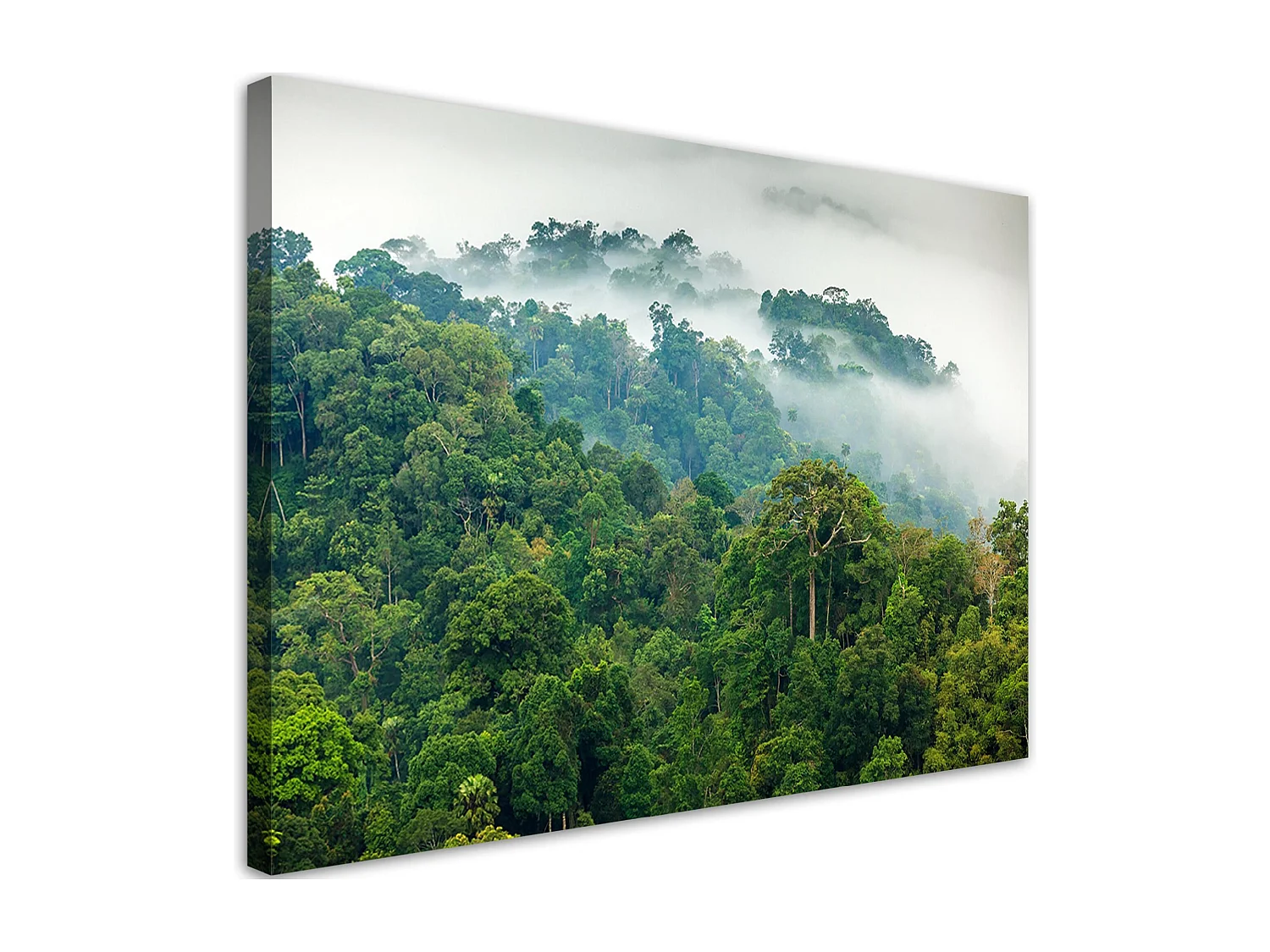 Quadro su Tela 100x70cm Stampe da Parete Parco natura verde albero Grandi Decorazione Murale Camera da Letto Cucina 1 pezzo Quadri Moderni Soggiorno