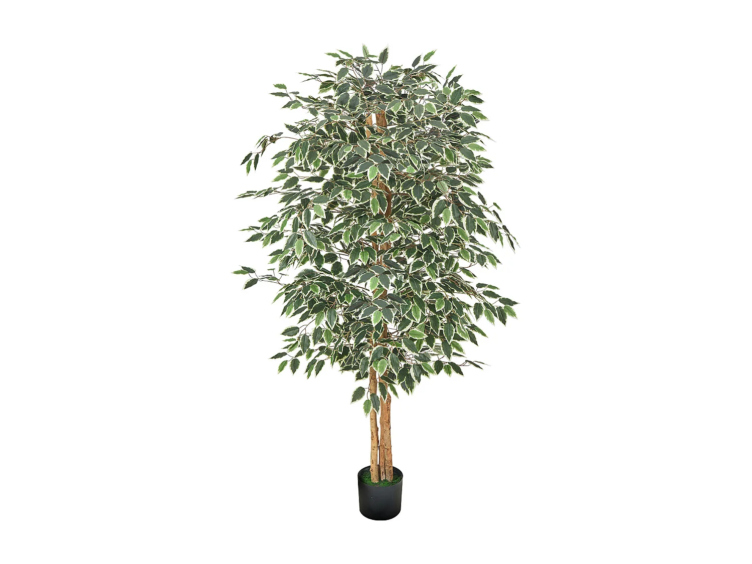 Kunstmatige Bomen SucceBuy 180 cm Kunstficus met Zwarte Pot, Grote Kunstplant met Natuurlijke Houten Stam en Realistische Groene Bladeren