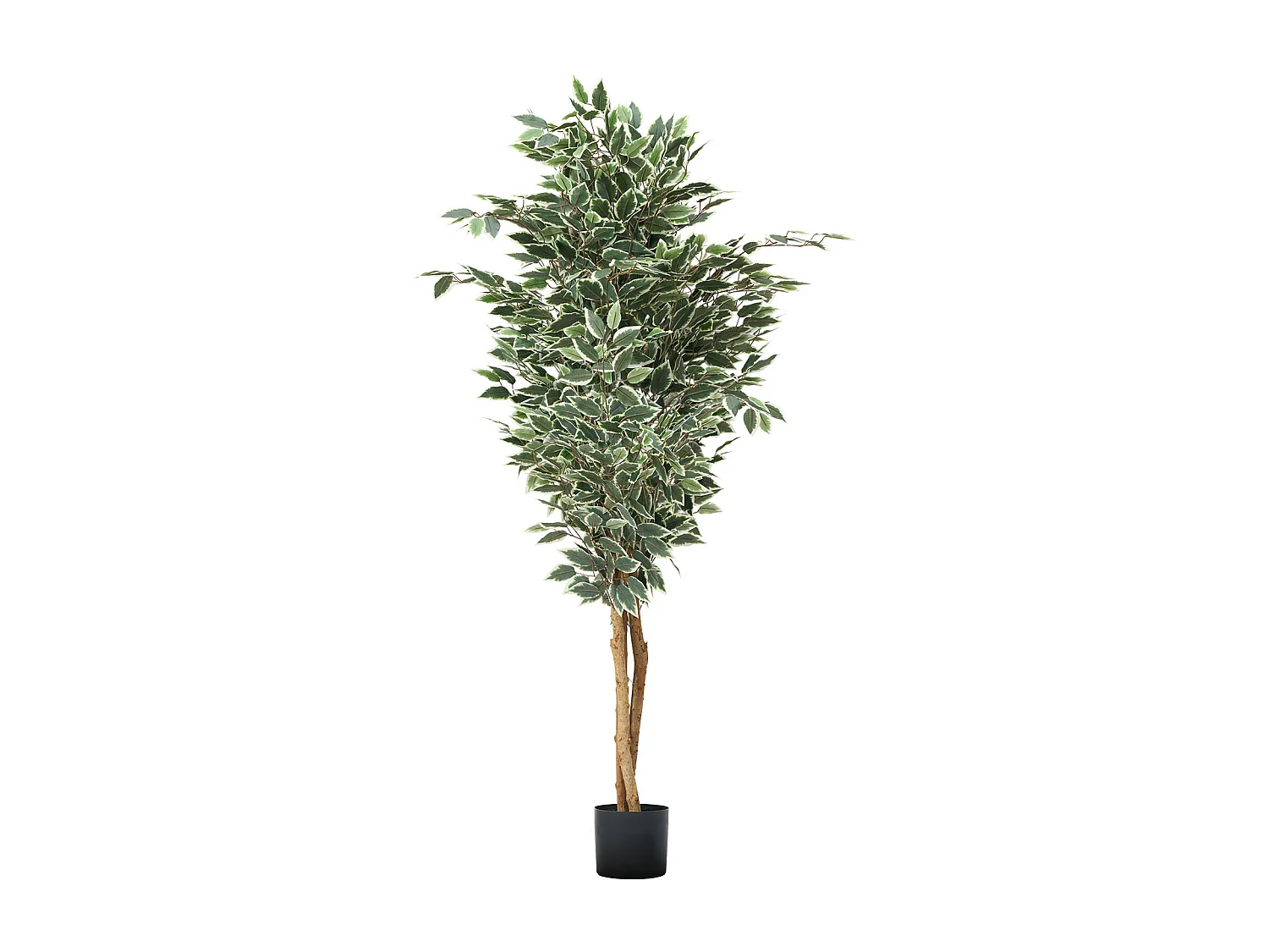 Kunstmatige Bomen SucceBuy 180 cm Kunstficus met Zwarte Pot, Grote Kunstplant met Natuurlijke Houten Stam en Realistische Groene Bladeren