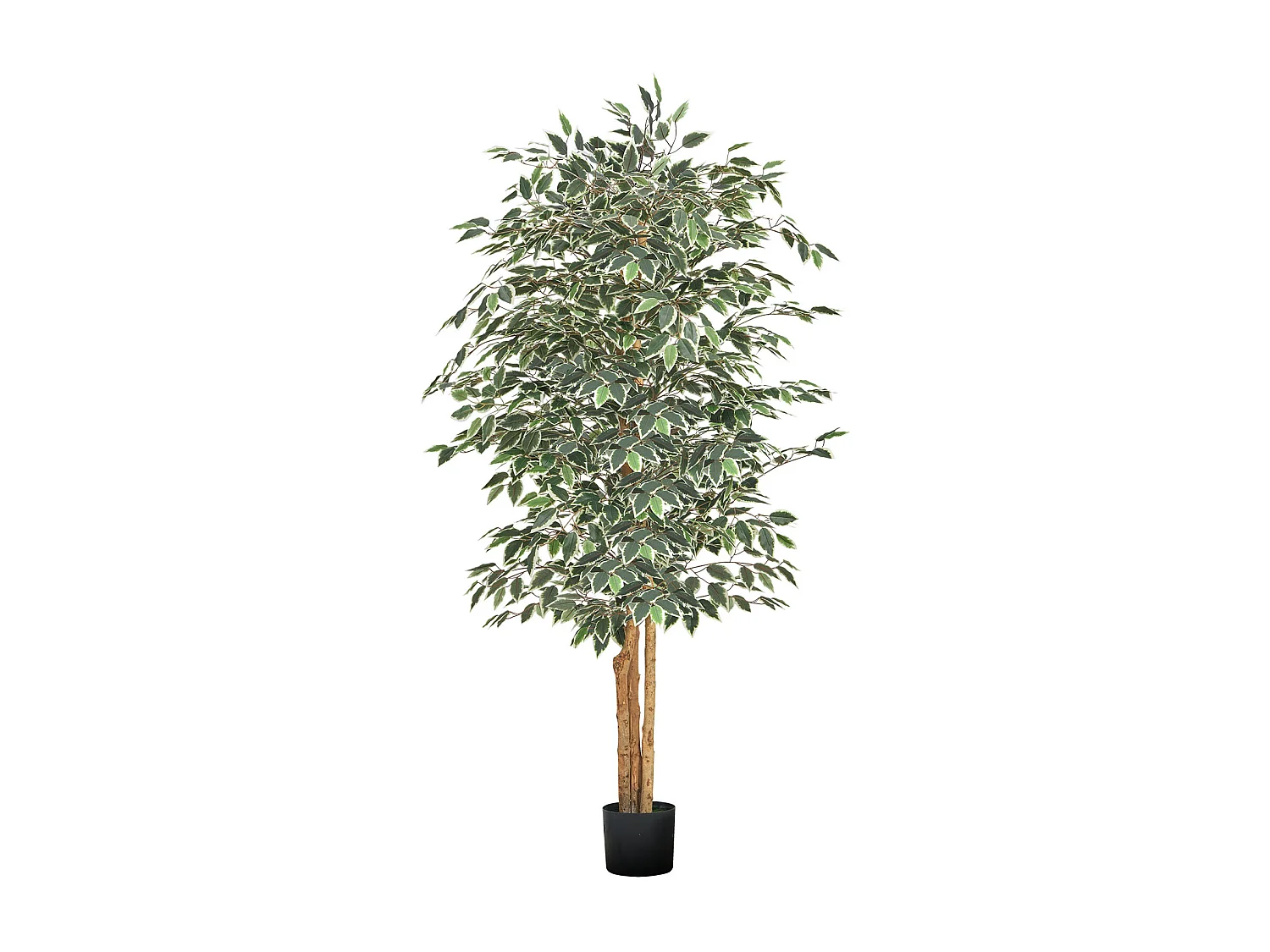 Kunstmatige Bomen SucceBuy 180 cm Kunstficus met Zwarte Pot, Grote Kunstplant met Natuurlijke Houten Stam en Realistische Groene Bladeren