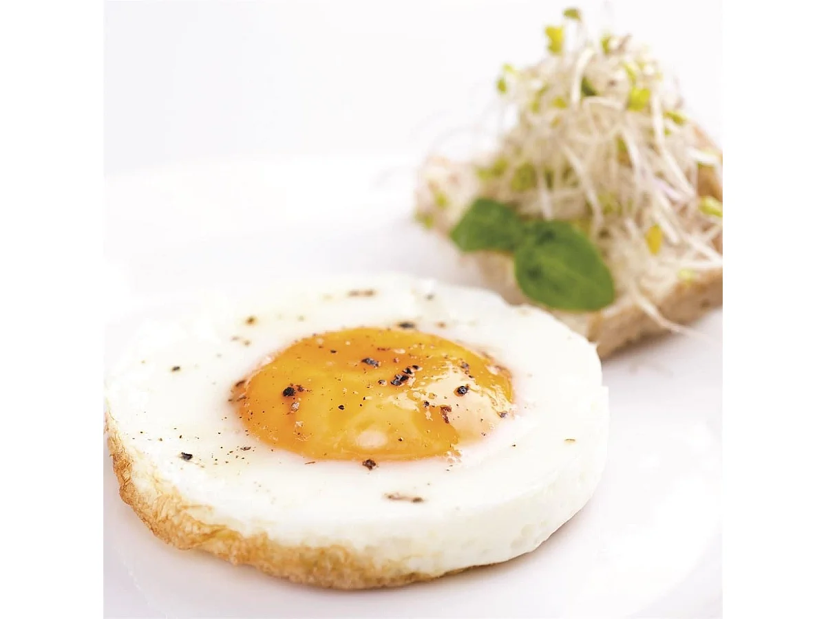 Crêpière à pancakes 7 portions tous feux dont induction diamètre 31 cm