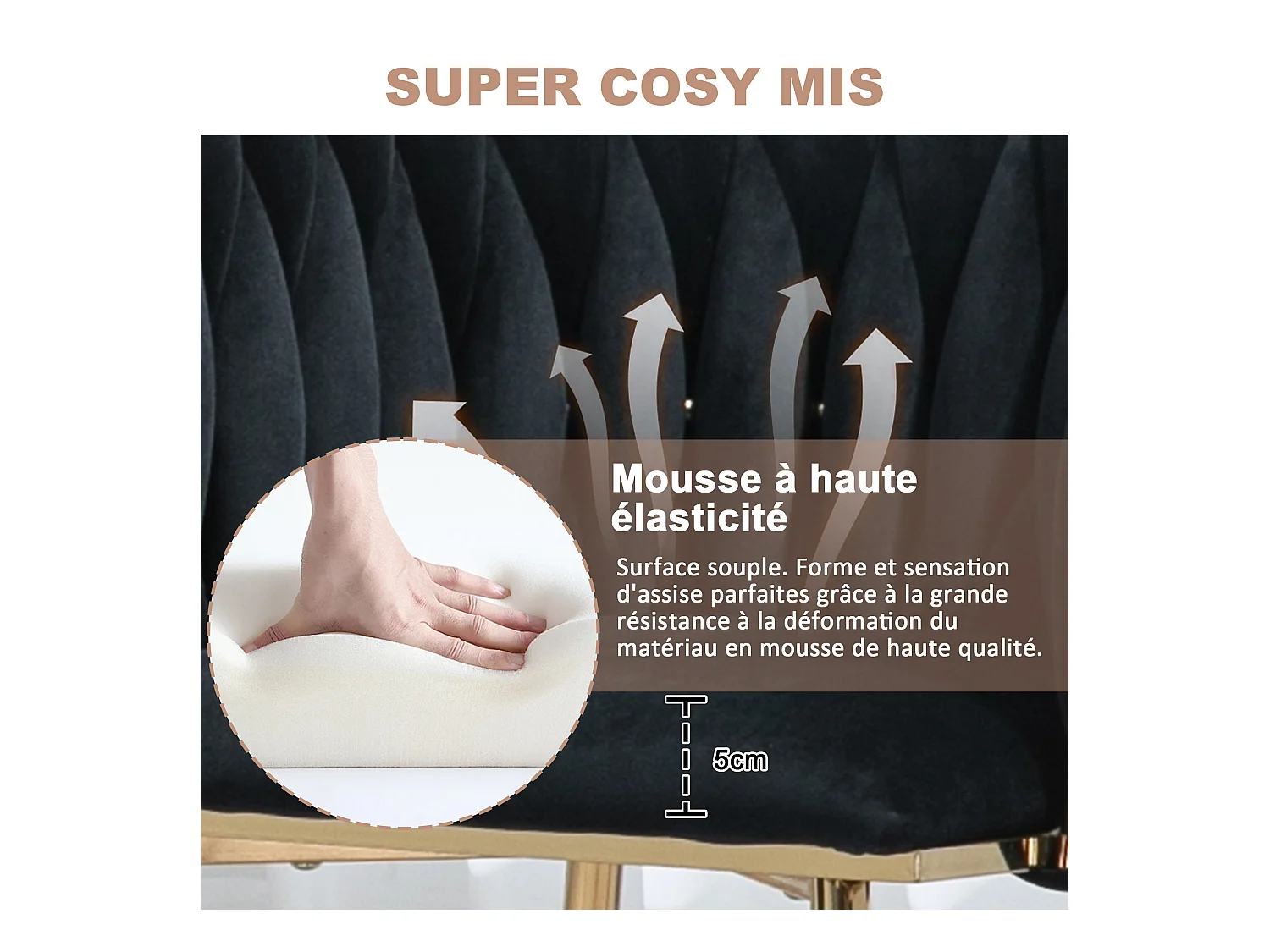 Lot de 2 Chaises Coquillage au Dossier Canné et aux Pieds Dorés - Noir - Élégance Bohème