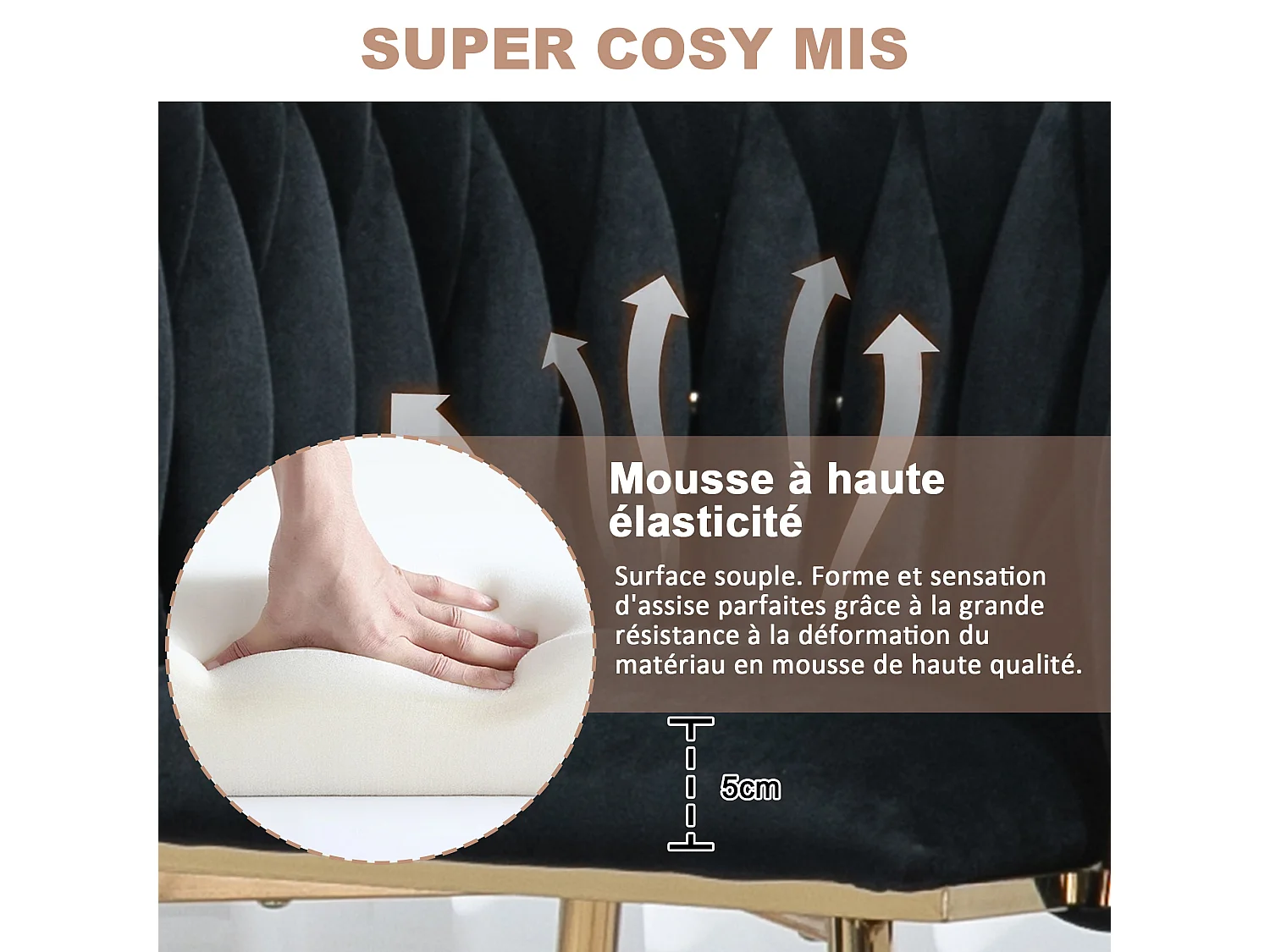 Lot de 2 Chaises Coquillage au Dossier Canné et aux Pieds Dorés - Noir - Élégance Bohème