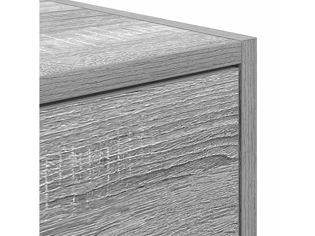 Meuble TV sonoma gris 100x31x25,5 cm bois d'ingénierie
