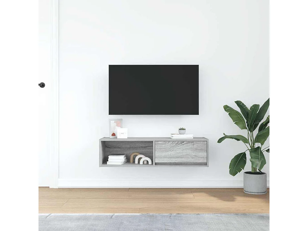 Meuble TV sonoma gris 100x31x25,5 cm bois d'ingénierie