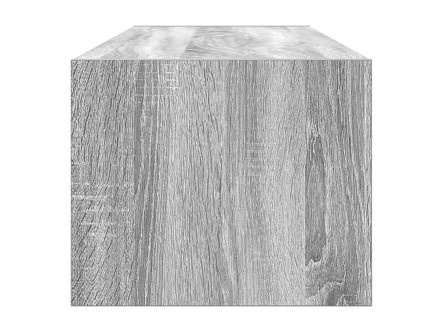 Meuble TV sonoma gris 100x31x25,5 cm bois d'ingénierie