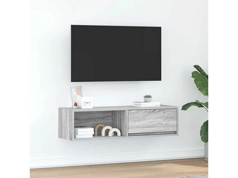 Meuble TV sonoma gris 100x31x25,5 cm bois d'ingénierie