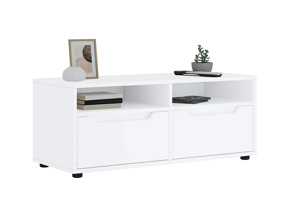 Meuble TV VISNES blanc 100x40x38 cm bois d'ingénierie