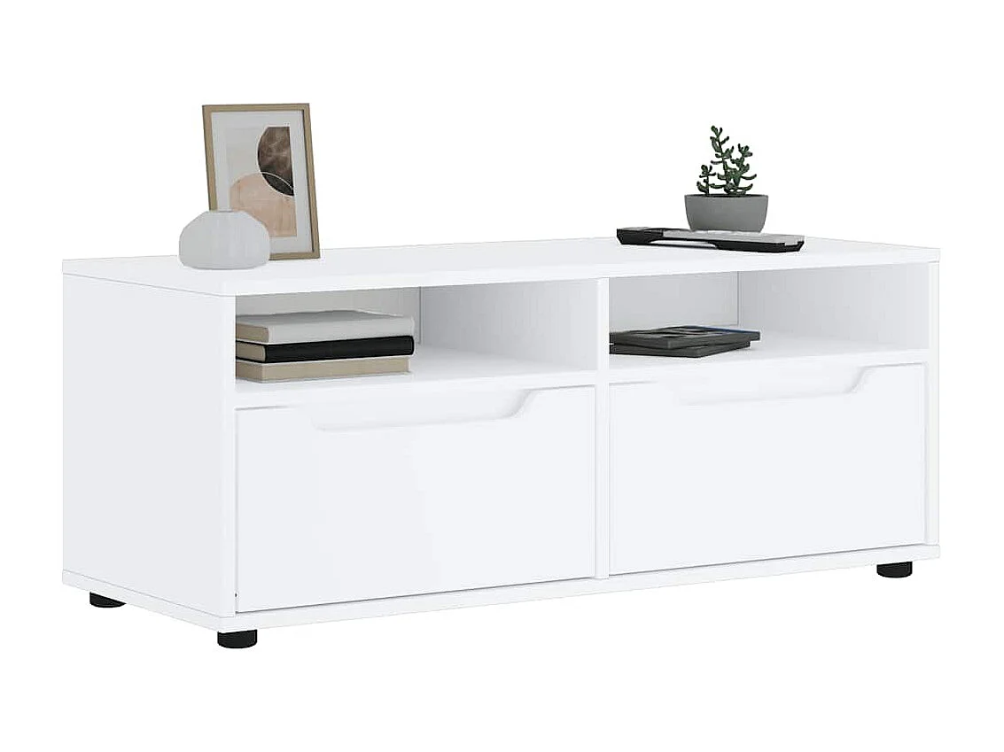 Meuble TV VISNES blanc 100x40x38 cm bois d'ingénierie