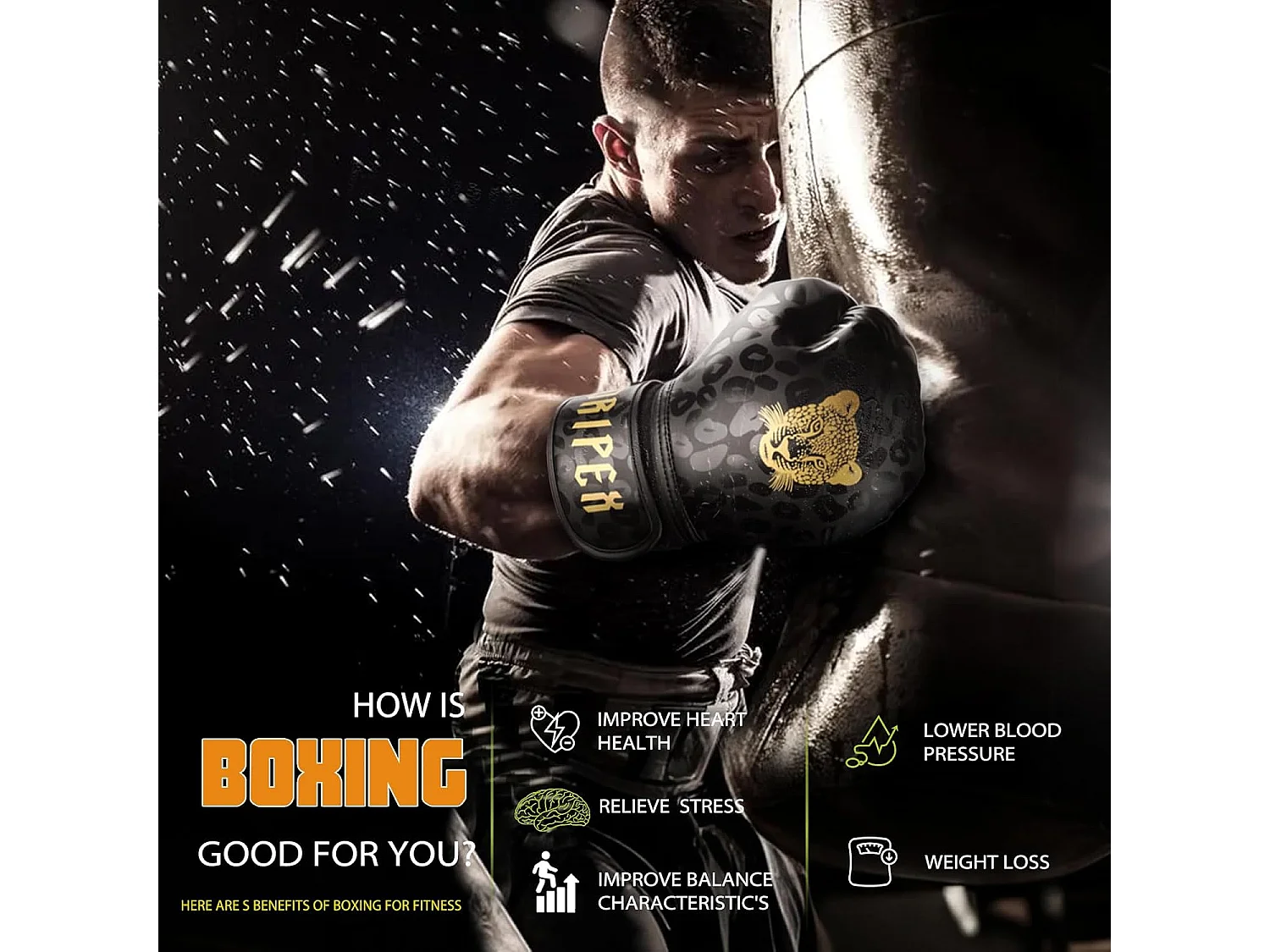 Dripex Gants de Boxe 12 oz Gants dEntranement de Boxe PU Cuir Gants Sac de Frappe Homme Femme Boxing Gloves Professionnels pour Ar