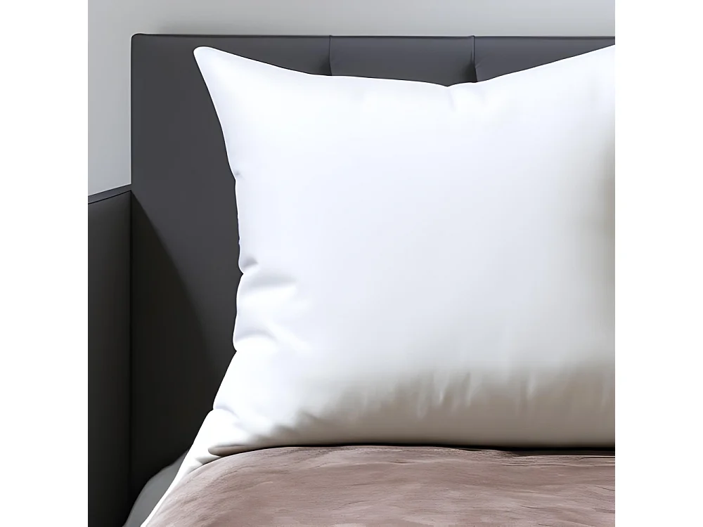 2 oreillers doux microfibres polyester moelleux réglable en hauteur 60 x 60 cm