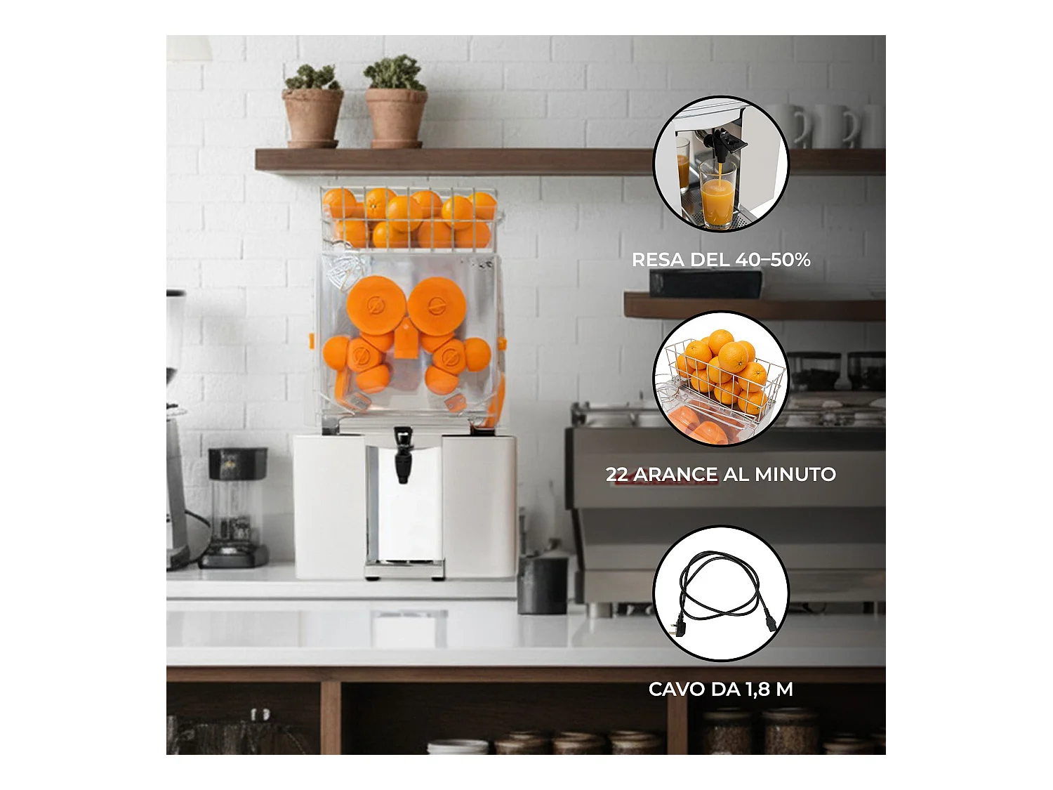 Exprimidor de Cítricos Comercial