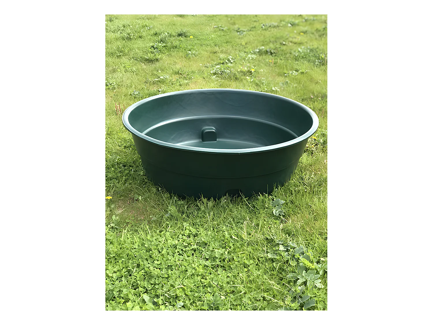 Abreuvoir Pour Vache Et Cheval 500l