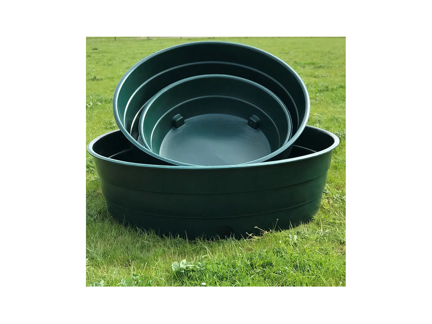 Abreuvoir  Pour Vache Et Cheval 1900l