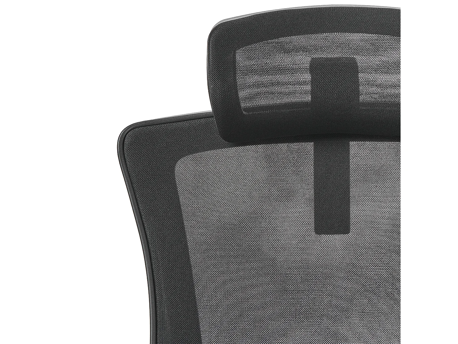 Chaise de bureau PALADIN Tissu Noir