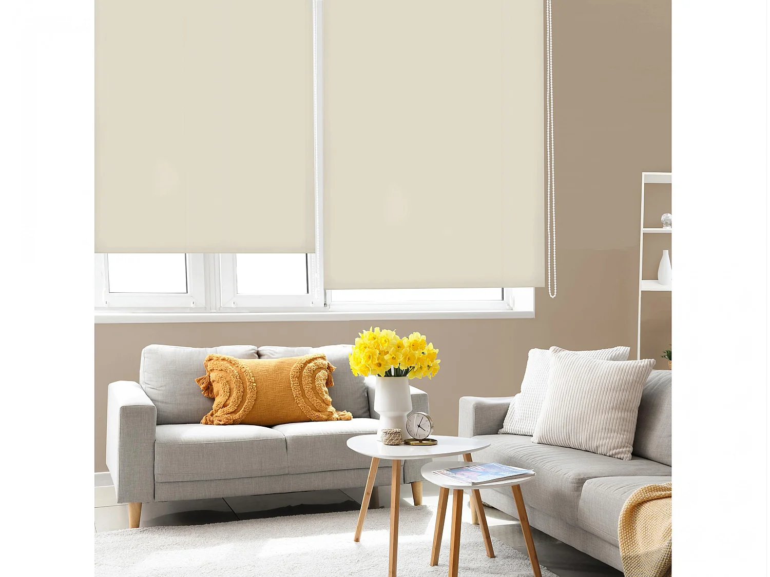 Store enrouleur Polyester Translucide 160x250