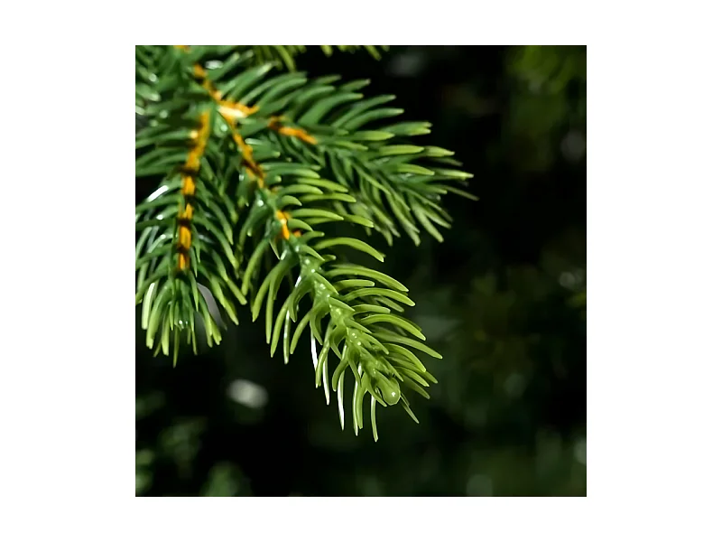 Albero di Natale "Reindeer" con tronco moderno incluso in PE effetto Real Touch cm 210h