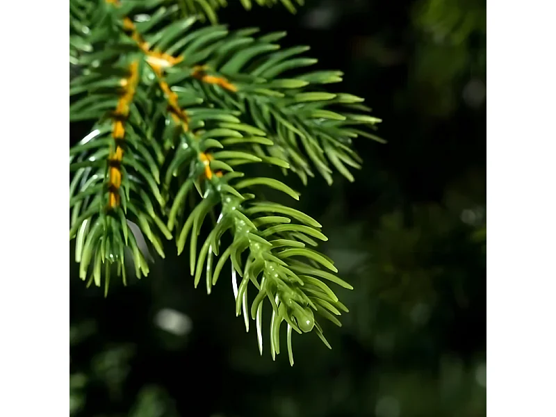Sapin de Noël "Renne" avec tronc moderne inclus en PE effet Real Touch 240 cm de hauteur