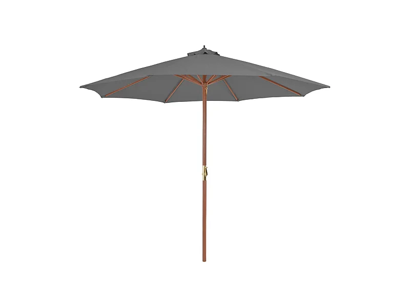 Parasol d'extérieur | Parasol de jardin avec mât en bois 300 cm anthracite
