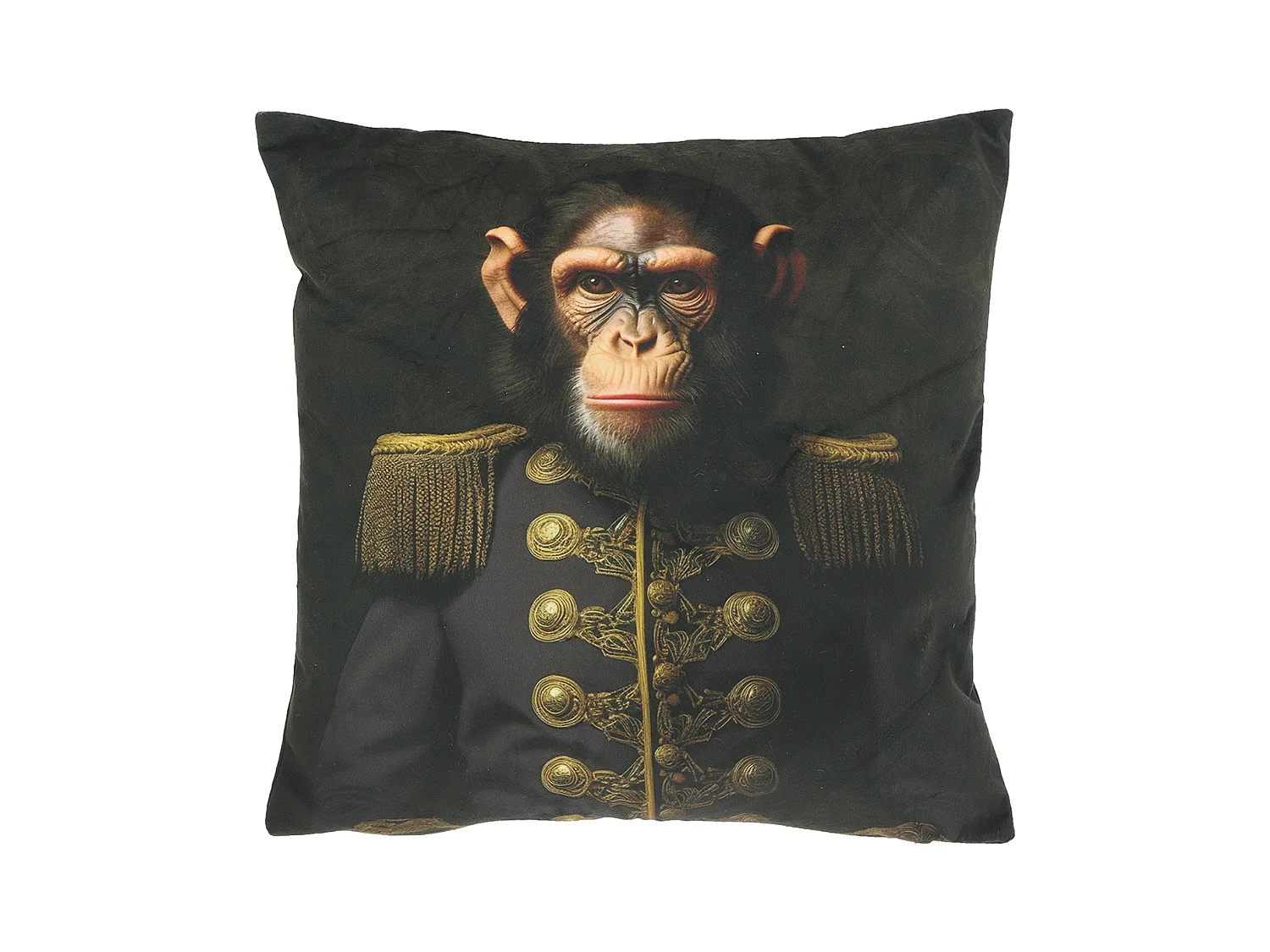 Coussin décoratif Milo 45x45cm - Design 5