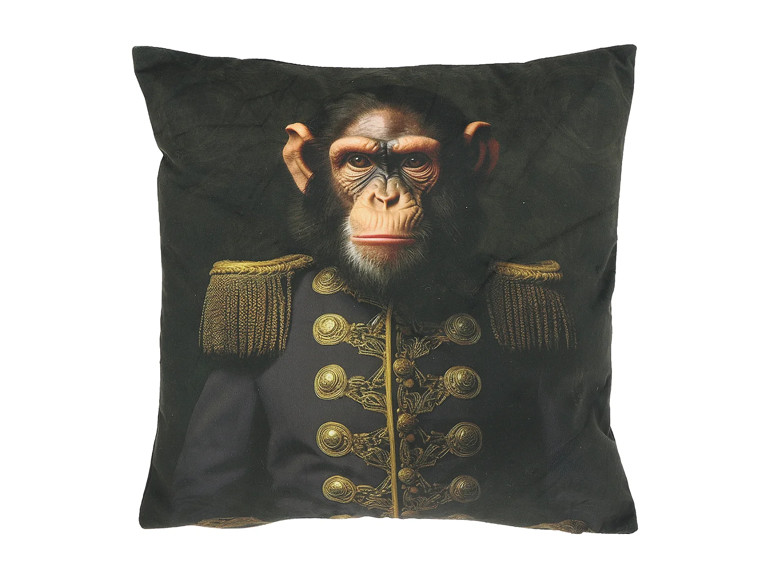 Coussin décoratif Milo 45x45cm - Design 5