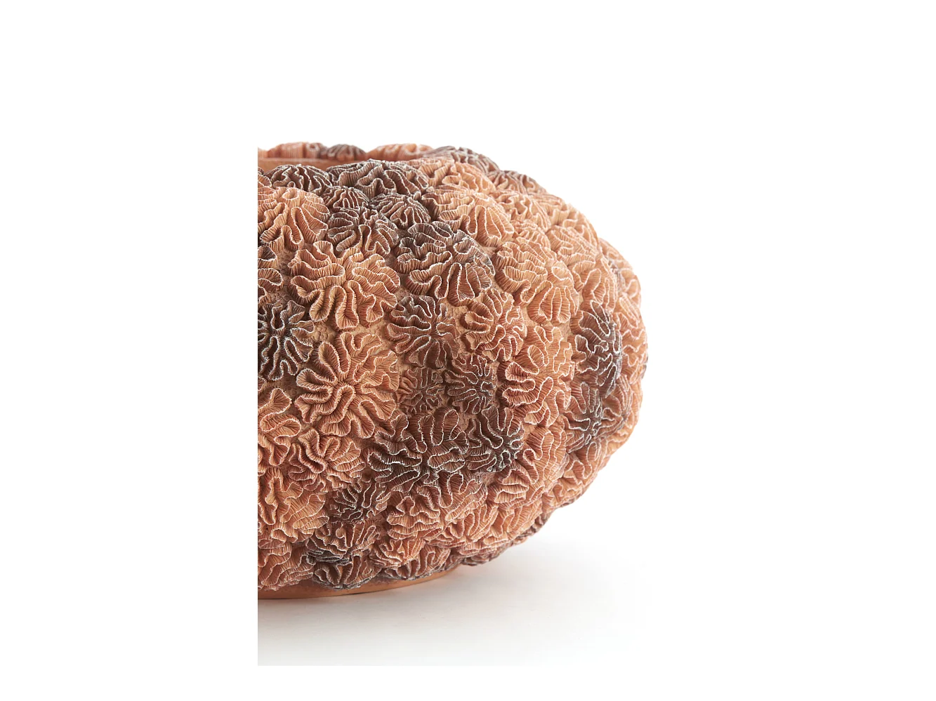 Vase CORAL - Ø47,5x25,5 cm - Marron