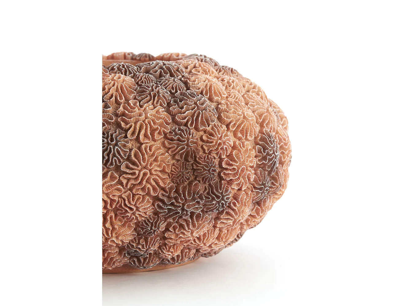 Vase CORAL - Ø47,5x25,5 cm - Marron