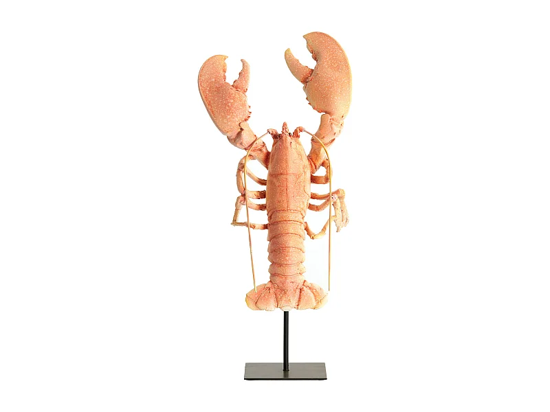 Ornement HOMARD - 25x14x56,5 cm - Orange