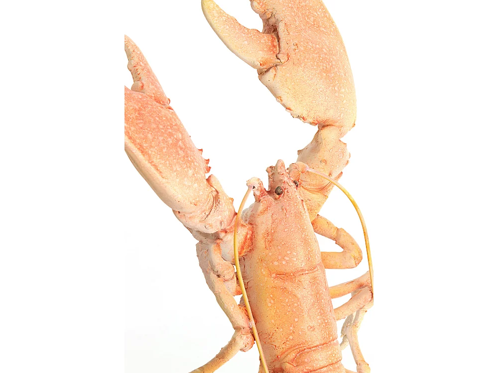 Ornement HOMARD - 25x14x56,5 cm - Orange