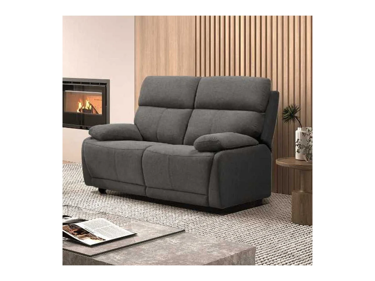 Canapé fixe 2 places tissu polyester gris foncé - MIGUEL
