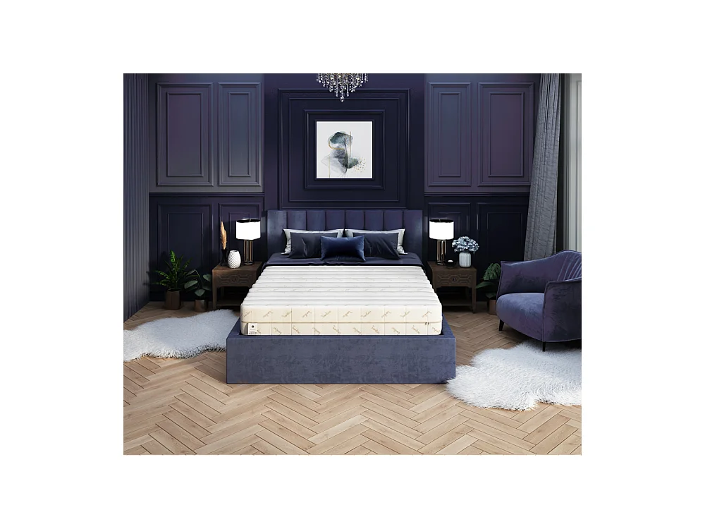 Matelas Ergo 140x190 - Mémoire de forme - Latex - 22cm