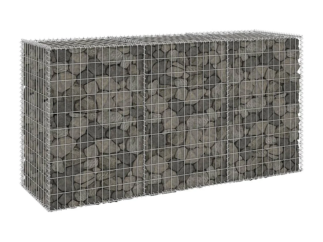 Mur en gabion-Panier de gabion avec couvercles Acier galvanisé 200x60x100 cm