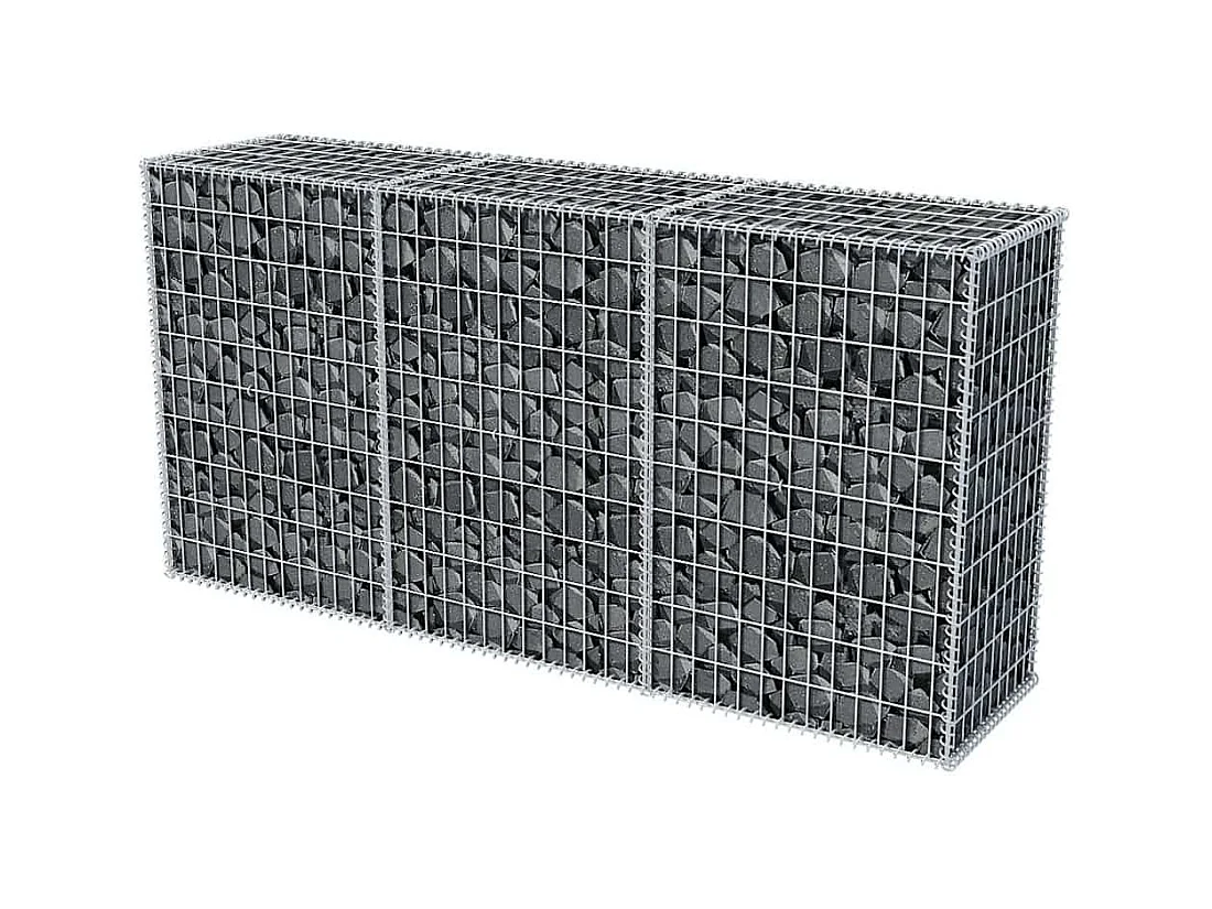 Panier de gabion-Mur en gabion Acier galvanisé 200x50x100 cm