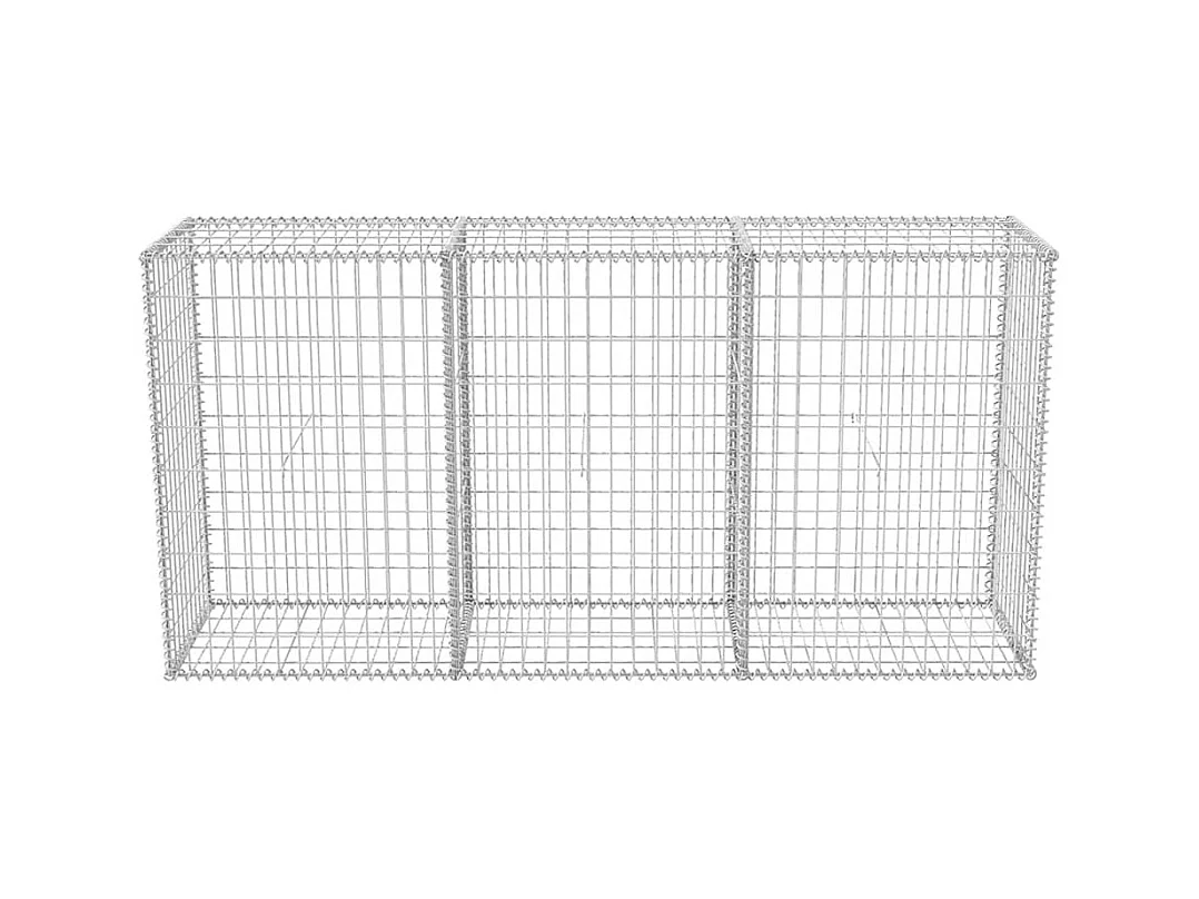 Panier de gabion-Mur en gabion Acier galvanisé 200x50x100 cm