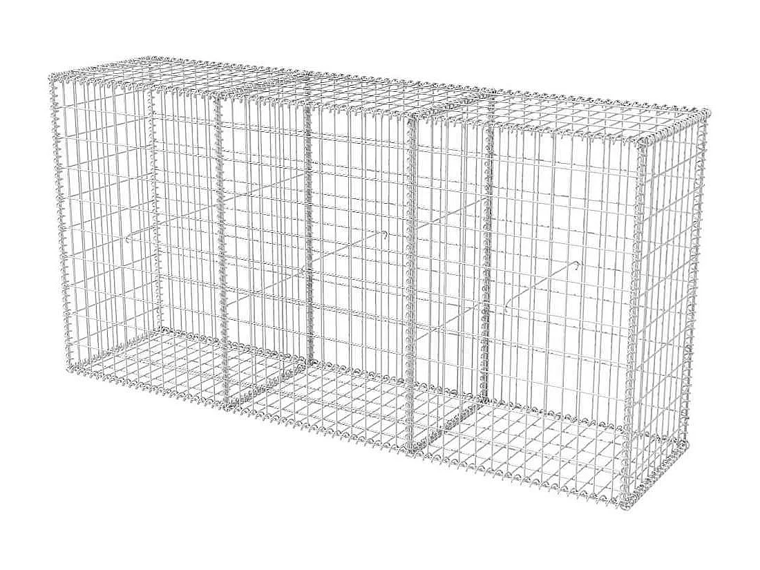 Panier de gabion-Mur en gabion Acier galvanisé 200x50x100 cm